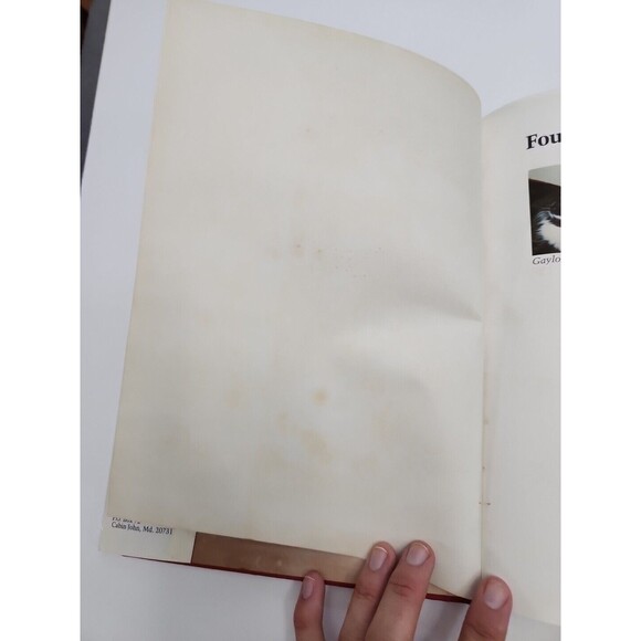 Four Cats Make One Pride - 1978 1st Edition Hardcover - Picture 5 of 6